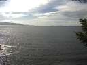 ./images/koeye/fitz-hugh/20200823/fitz-hugh20200823_152001.jpg