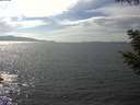 ./images/koeye/fitz-hugh/20200823/fitz-hugh20200823_152501.jpg