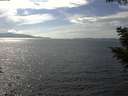 ./images/koeye/fitz-hugh/20200823/fitz-hugh20200823_153501.jpg