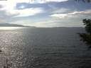 ./images/koeye/fitz-hugh/20200823/fitz-hugh20200823_154001.jpg