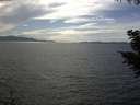./images/koeye/fitz-hugh/20200823/fitz-hugh20200823_160501.jpg