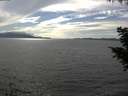 ./images/koeye/fitz-hugh/20200823/fitz-hugh20200823_162001.jpg
