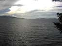 ./images/koeye/fitz-hugh/20200823/fitz-hugh20200823_164501.jpg