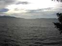 ./images/koeye/fitz-hugh/20200823/fitz-hugh20200823_165001.jpg