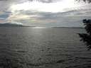 ./images/koeye/fitz-hugh/20200823/fitz-hugh20200823_165501.jpg