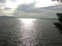./images/koeye/fitz-hugh/20200823/fitz-hugh20200823_170502.jpg