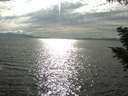 ./images/koeye/fitz-hugh/20200823/fitz-hugh20200823_171002.jpg