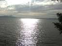 ./images/koeye/fitz-hugh/20200823/fitz-hugh20200823_171502.jpg