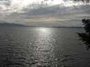 ./images/koeye/fitz-hugh/20200823/fitz-hugh20200823_172002.jpg