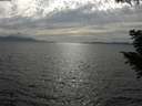 ./images/koeye/fitz-hugh/20200823/fitz-hugh20200823_172502.jpg