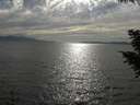 ./images/koeye/fitz-hugh/20200823/fitz-hugh20200823_173502.jpg