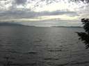 ./images/koeye/fitz-hugh/20200823/fitz-hugh20200823_174502.jpg