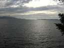 ./images/koeye/fitz-hugh/20200823/fitz-hugh20200823_175002.jpg