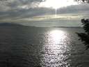 ./images/koeye/fitz-hugh/20200823/fitz-hugh20200823_175502.jpg
