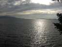 ./images/koeye/fitz-hugh/20200823/fitz-hugh20200823_180002.jpg