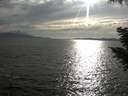 ./images/koeye/fitz-hugh/20200823/fitz-hugh20200823_181002.jpg