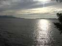 ./images/koeye/fitz-hugh/20200823/fitz-hugh20200823_181502.jpg