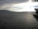 ./images/koeye/fitz-hugh/20200823/fitz-hugh20200823_183501.jpg