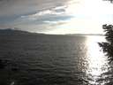 ./images/koeye/fitz-hugh/20200823/fitz-hugh20200823_185501.jpg