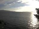 ./images/koeye/fitz-hugh/20200823/fitz-hugh20200823_190501.jpg