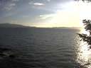 ./images/koeye/fitz-hugh/20200823/fitz-hugh20200823_192501.jpg