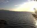 ./images/koeye/fitz-hugh/20200823/fitz-hugh20200823_195001.jpg