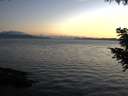 ./images/koeye/fitz-hugh/20200823/fitz-hugh20200823_204502.jpg