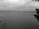 ./images/koeye/fitz-hugh/20200824/fitz-hugh20200824_055001.jpg