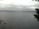 ./images/koeye/fitz-hugh/20200824/fitz-hugh20200824_055501.jpg