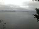 ./images/koeye/fitz-hugh/20200824/fitz-hugh20200824_060001.jpg