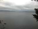 ./images/koeye/fitz-hugh/20200824/fitz-hugh20200824_061001.jpg