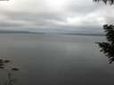 ./images/koeye/fitz-hugh/20200824/fitz-hugh20200824_061501.jpg