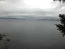 ./images/koeye/fitz-hugh/20200824/fitz-hugh20200824_063501.jpg