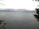 ./images/koeye/fitz-hugh/20200824/fitz-hugh20200824_064501.jpg