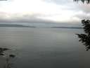 ./images/koeye/fitz-hugh/20200824/fitz-hugh20200824_065502.jpg