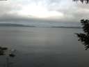 ./images/koeye/fitz-hugh/20200824/fitz-hugh20200824_070502.jpg