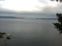 ./images/koeye/fitz-hugh/20200824/fitz-hugh20200824_071002.jpg