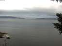 ./images/koeye/fitz-hugh/20200824/fitz-hugh20200824_071502.jpg