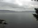 ./images/koeye/fitz-hugh/20200824/fitz-hugh20200824_073502.jpg