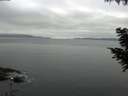 ./images/koeye/fitz-hugh/20200824/fitz-hugh20200824_074002.jpg