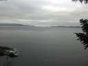 ./images/koeye/fitz-hugh/20200824/fitz-hugh20200824_074502.jpg