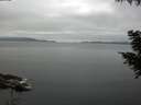 ./images/koeye/fitz-hugh/20200824/fitz-hugh20200824_075001.jpg