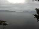 ./images/koeye/fitz-hugh/20200824/fitz-hugh20200824_075501.jpg