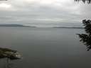 ./images/koeye/fitz-hugh/20200824/fitz-hugh20200824_080501.jpg