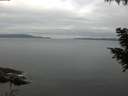 ./images/koeye/fitz-hugh/20200824/fitz-hugh20200824_081001.jpg