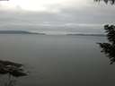 ./images/koeye/fitz-hugh/20200824/fitz-hugh20200824_081501.jpg