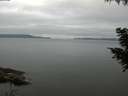 ./images/koeye/fitz-hugh/20200824/fitz-hugh20200824_082001.jpg