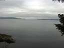 ./images/koeye/fitz-hugh/20200824/fitz-hugh20200824_083501.jpg