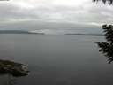 ./images/koeye/fitz-hugh/20200824/fitz-hugh20200824_084001.jpg