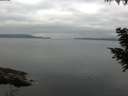 ./images/koeye/fitz-hugh/20200824/fitz-hugh20200824_084501.jpg